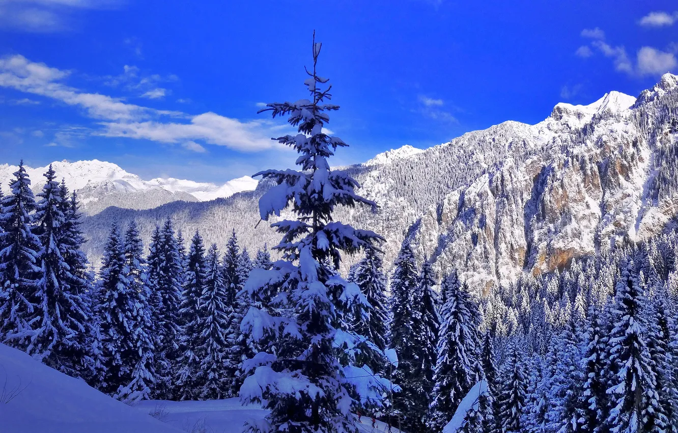 Фото обои зима, пейзаж, горы, природа