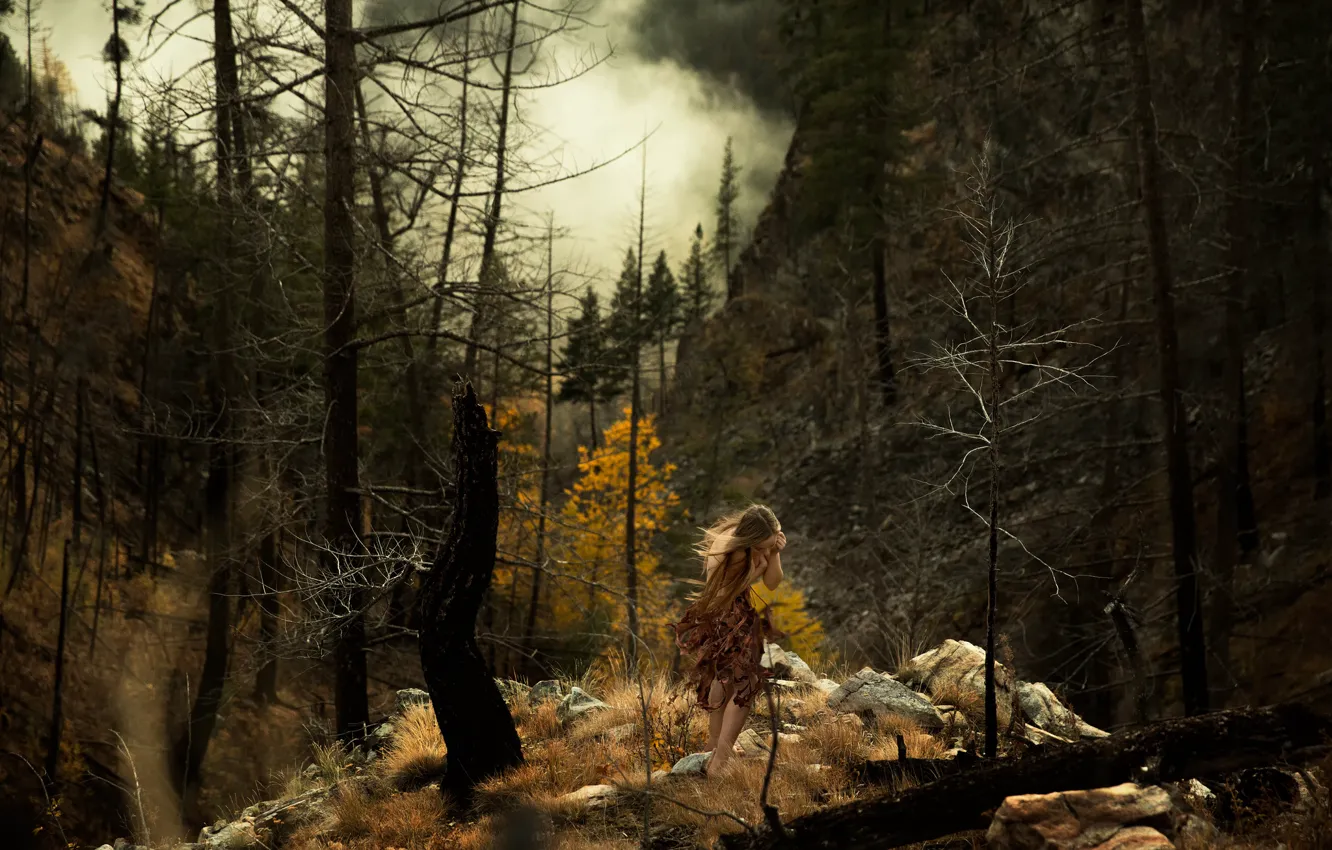 Фото обои лес, девушка, камни, дым, Lichon