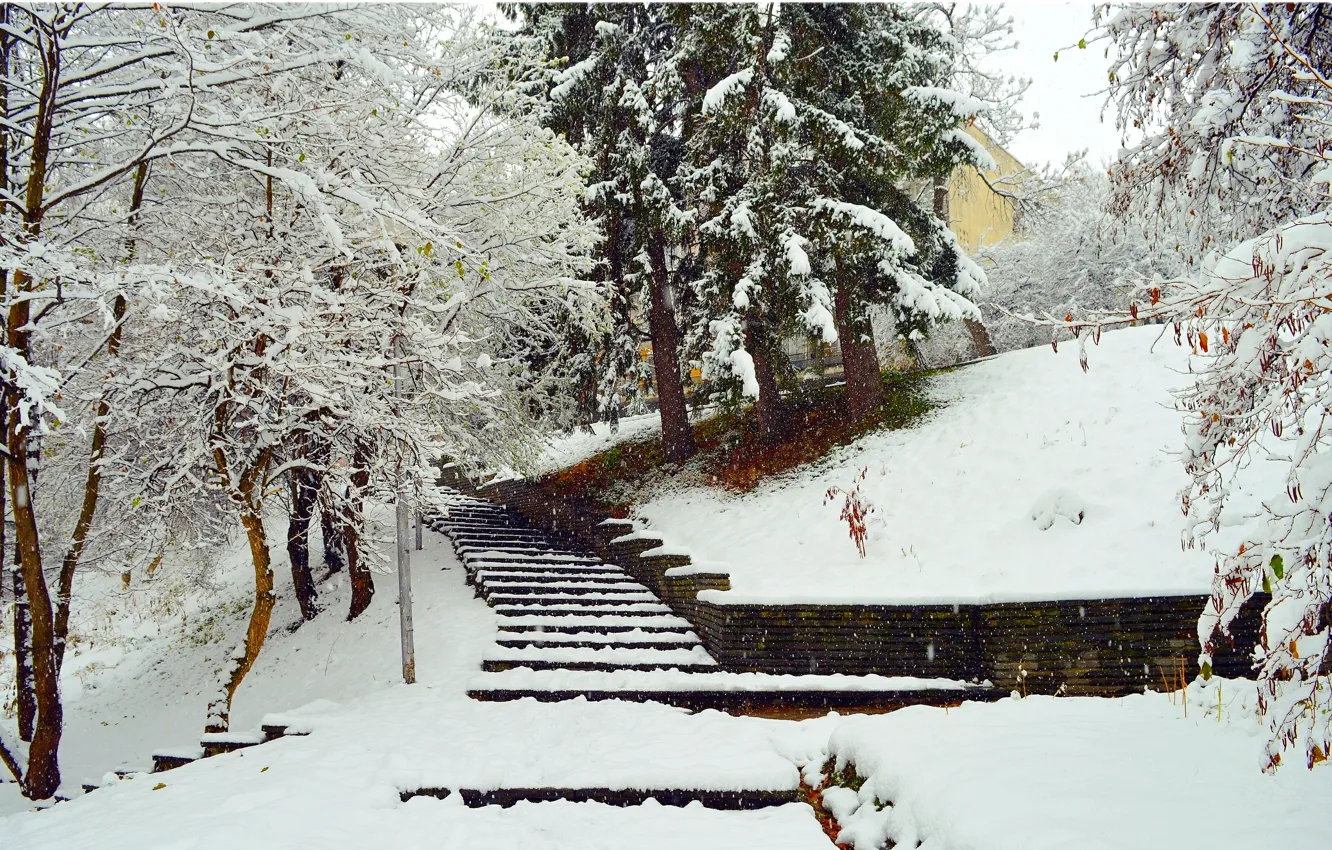 Фото обои деревья, Зима, Снег, лестница, Ступени, Парк, Мороз, Winter