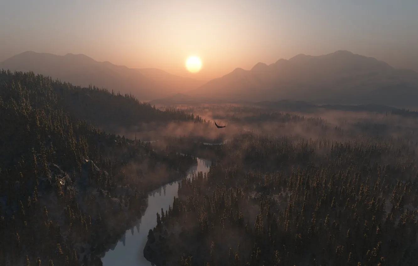 Фото обои лес, солнце, река, орел