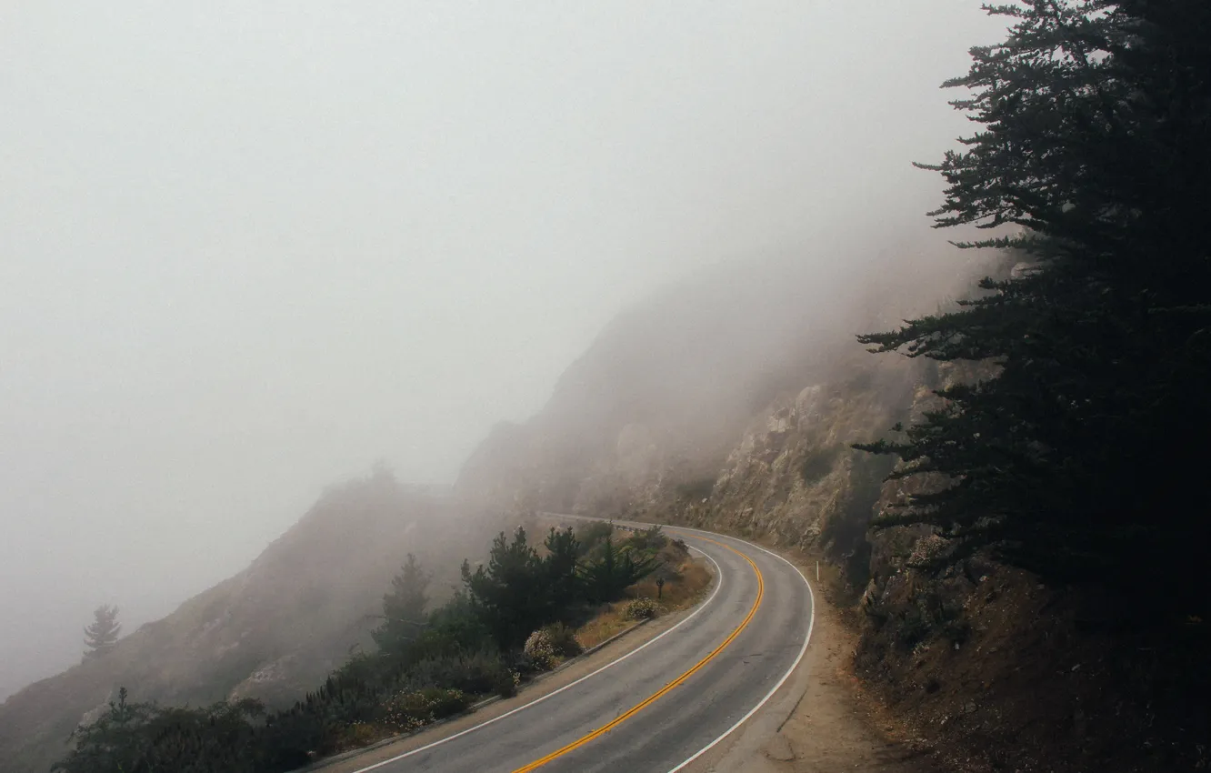 Фото обои дорога, туман, трасса