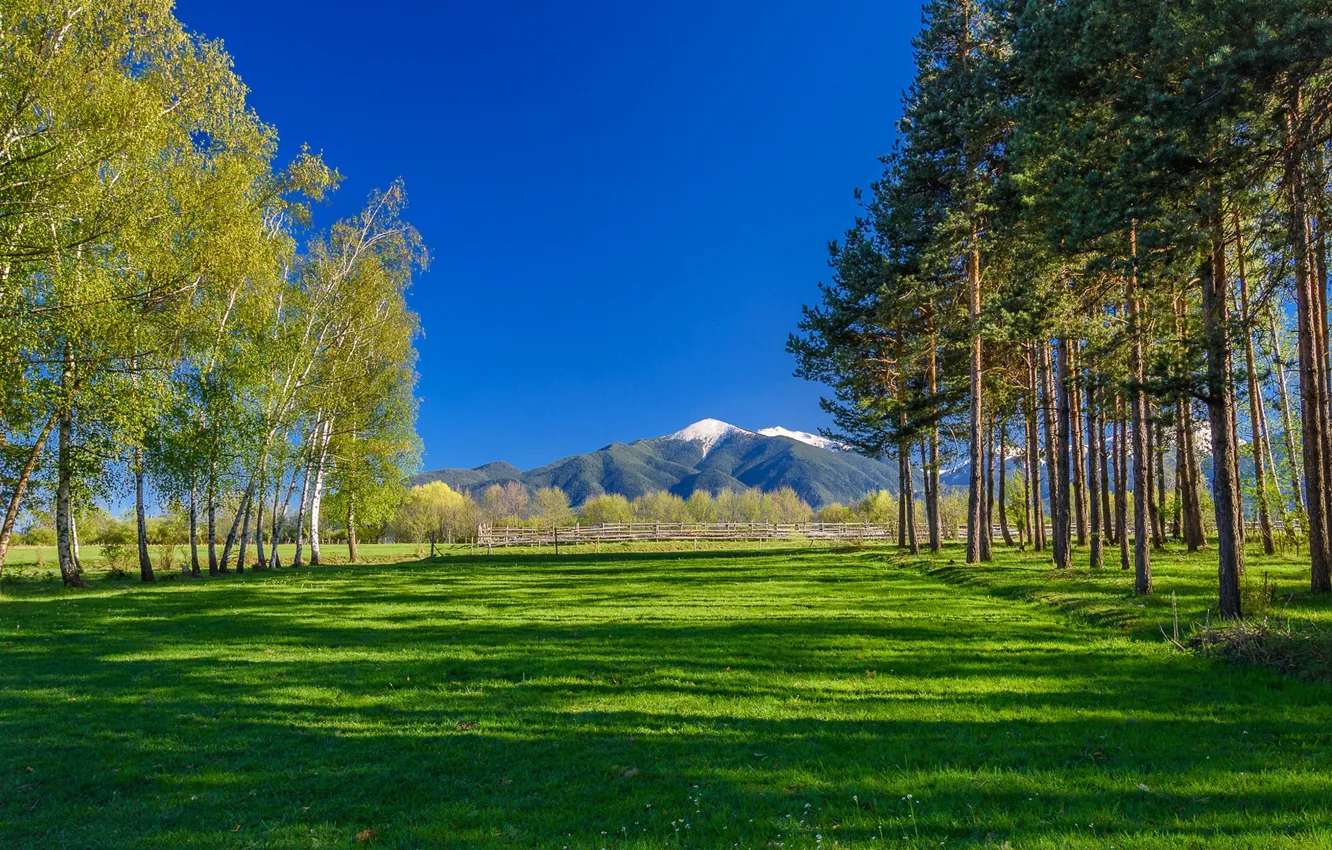 Фото обои трава, деревья, горы, Болгария