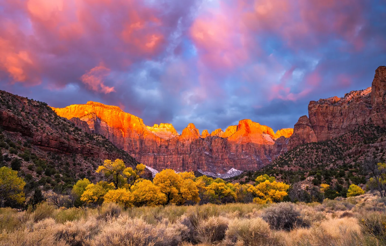 Фото обои colors, Zion National Park, autumn