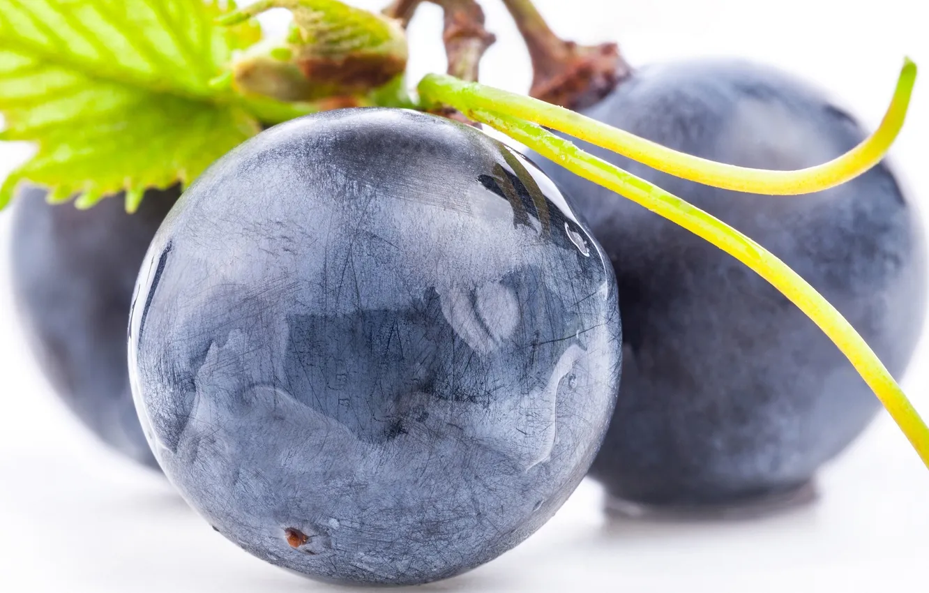 Фото обои макро, синий, ягоды, чёрный, berry, виноград, black, blue