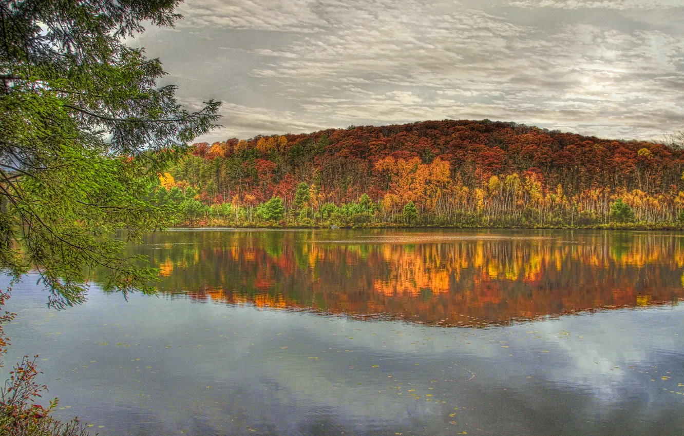 Фото обои осень, лес, небо, вода, hdr