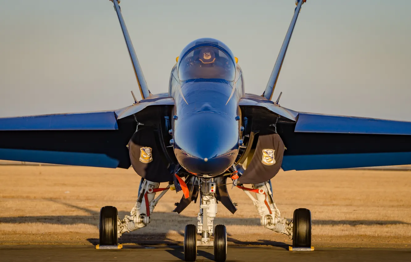 Фото обои истребитель, аэродром, F-18, Blue Angels