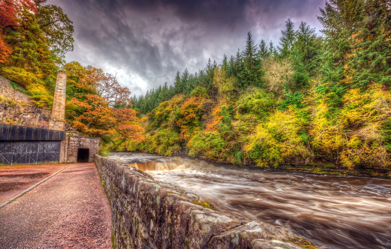 Фото обои осень, лес, деревья, река, течение, HDR, Шотландия, New Lanark