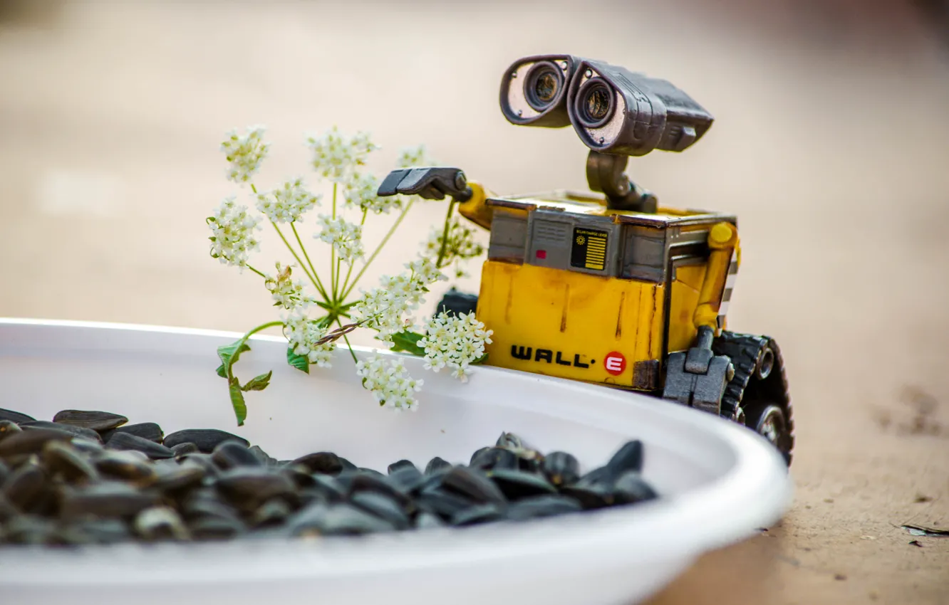 Фото обои робот, мульт, WALL-E, ВАЛЛ-И