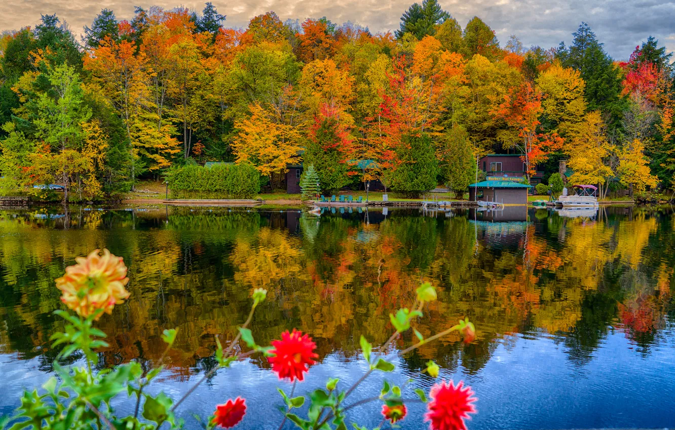 Фото обои осень, деревья, цветы, озеро, парк, домик