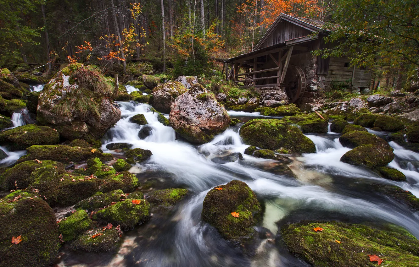 Фото обои осень, лес, река, камни, мох, Австрия, мельница, Austria