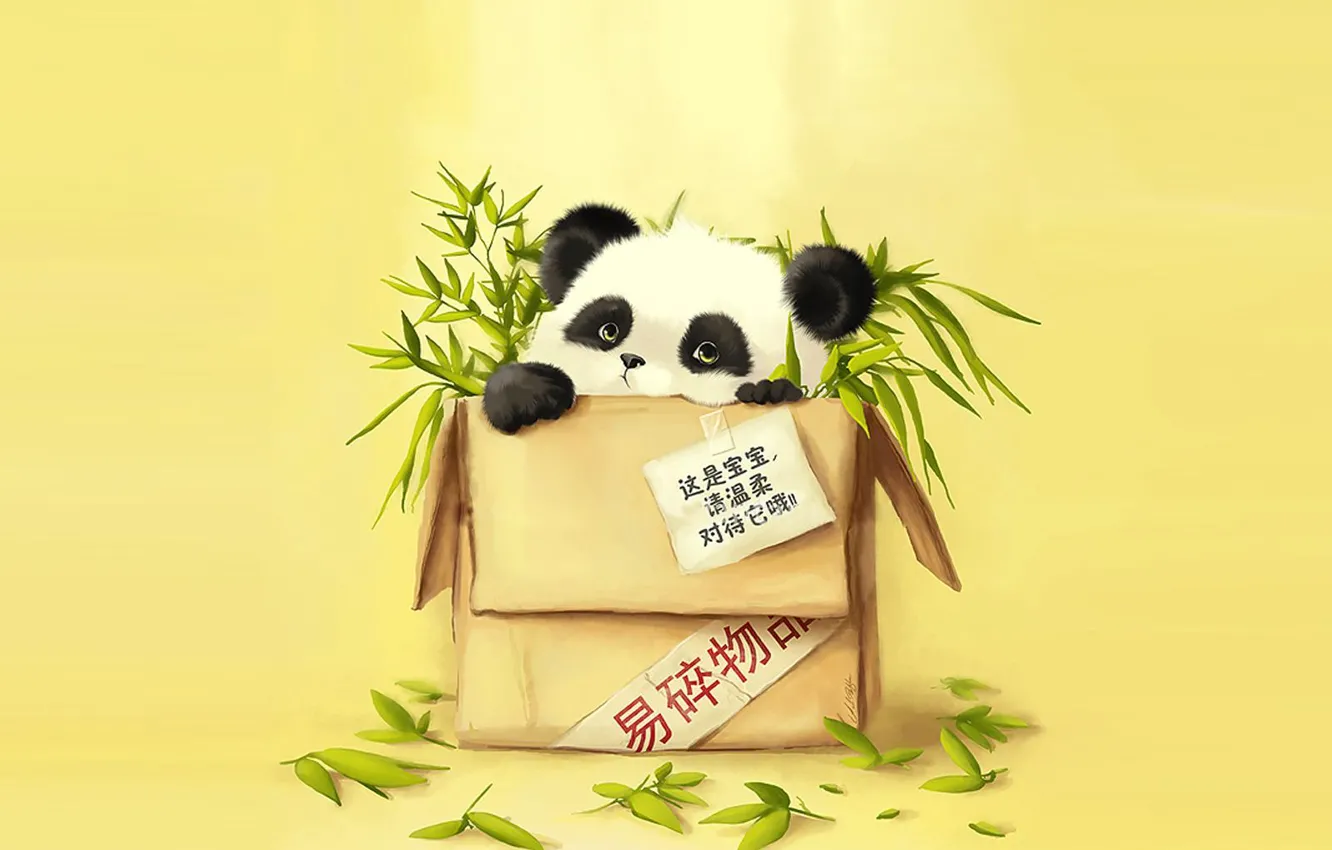 Фото обои бамбук, панда, посылка