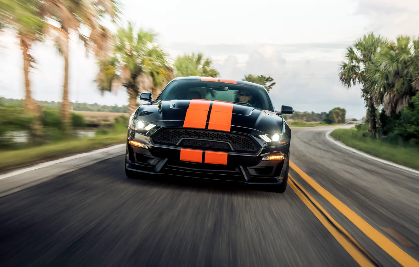 Фото обои скорость, Mustang, Ford, Shelby, вид спереди, GT-S, 2019