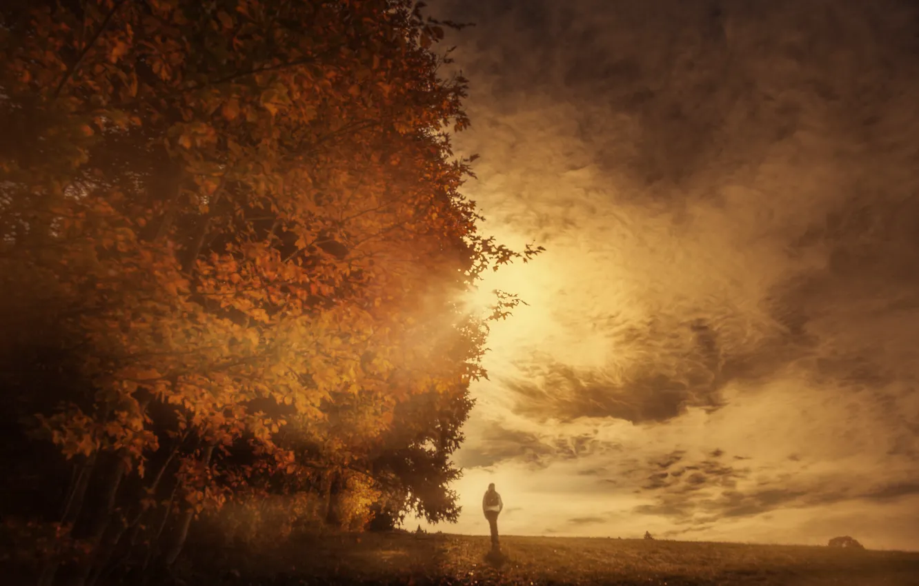 Фото обои осень, небо, облака, деревья, обработка, Autumn Sun