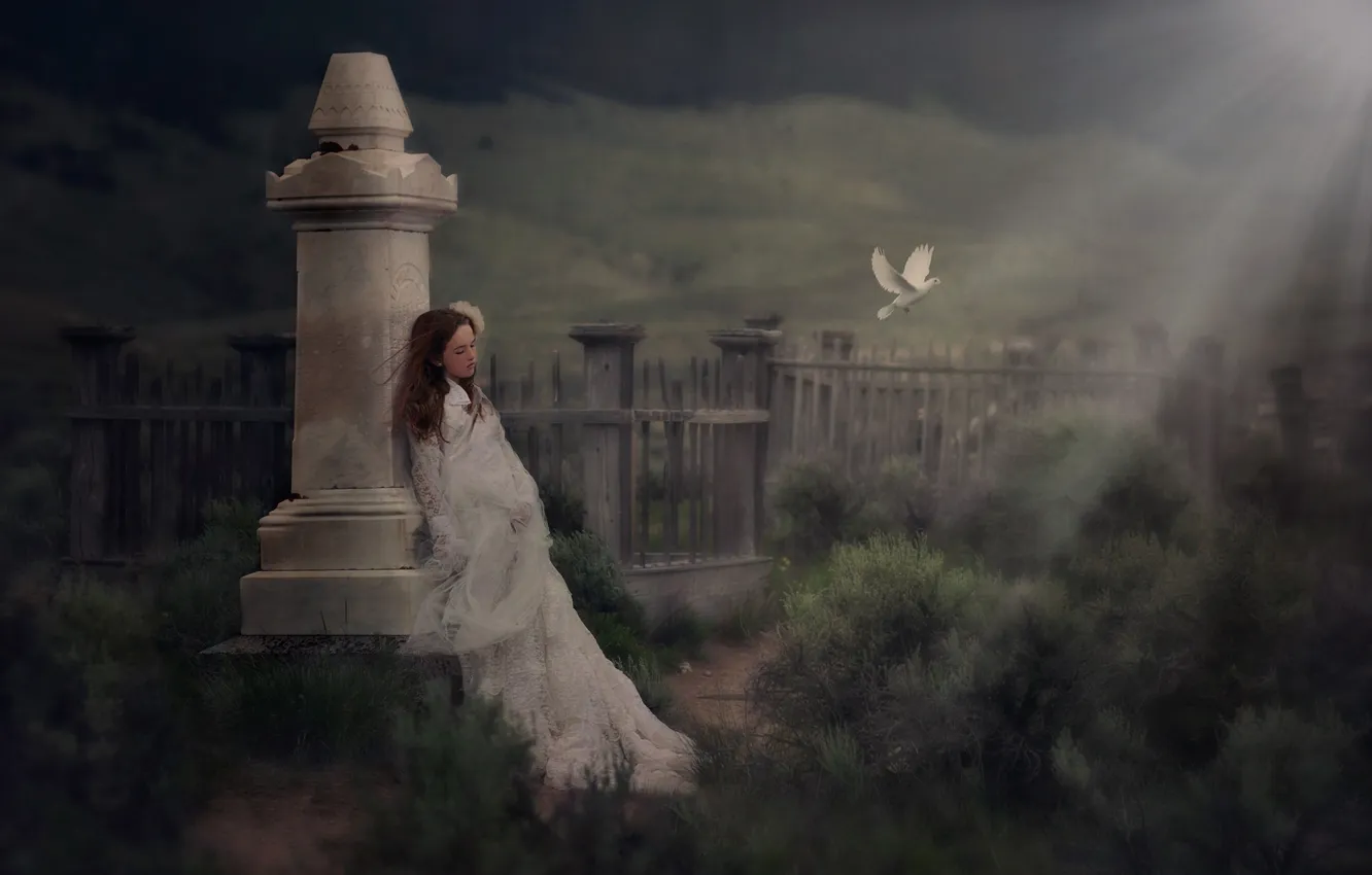 Фото обои Girl, Alone, Wallpaper, Sadness, Background, White Dress, Dove, Moods