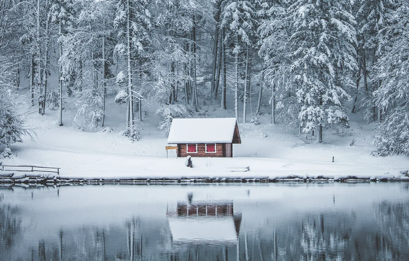 Фото обои зима, лес, снег, озеро, дом, отражение, в снегу, берег