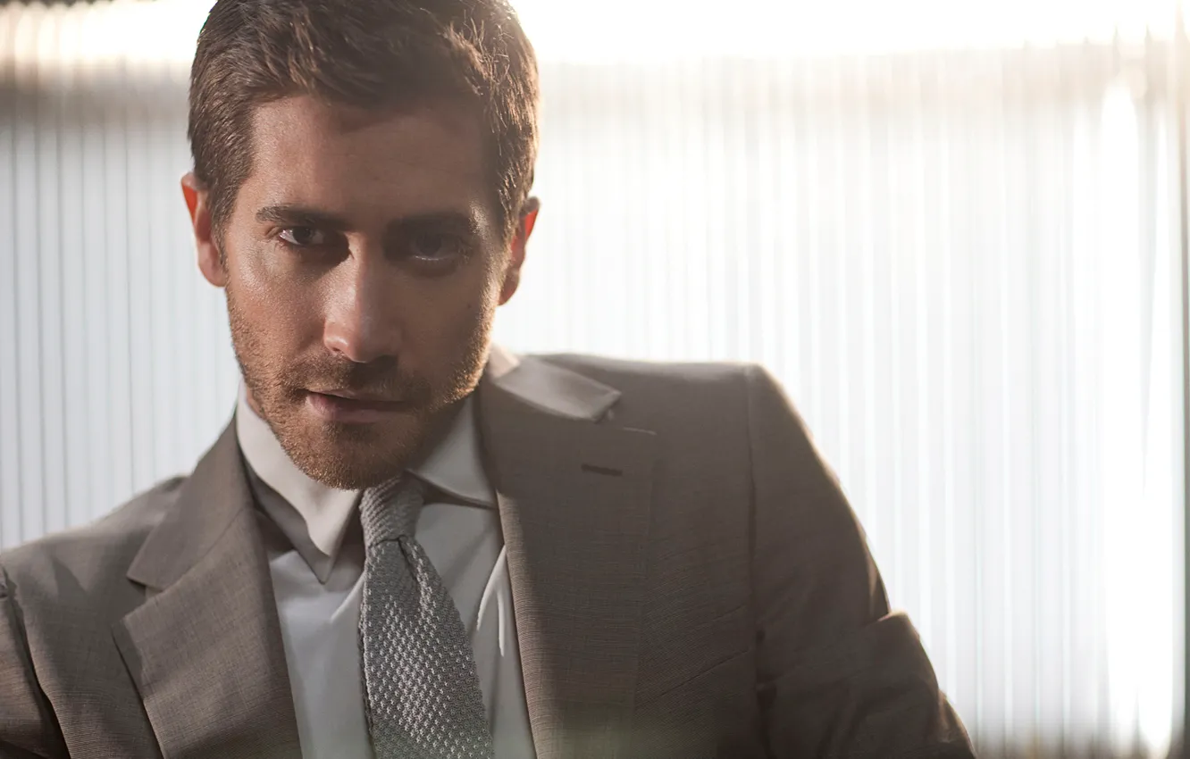 Фото обои портрет, актёр, Jake Gyllenhaal