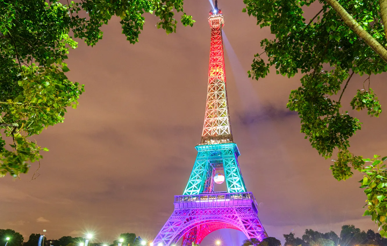 Фото обои деревья, ночь, огни, Франция, Париж, Эйфелева башня