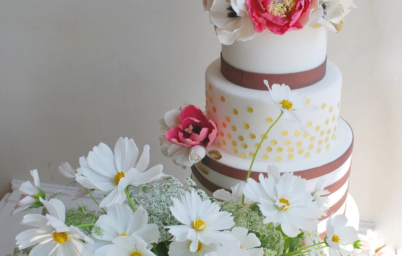 Фото обои цветы, торт, украшение, сладкое, анемоны, космея