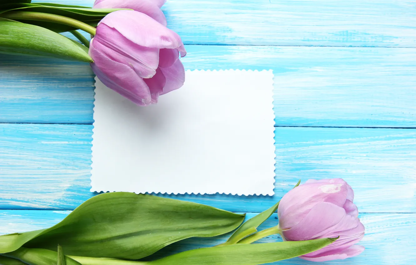 Фото обои цветы, букет, тюльпаны, wood, pink, flowers, tulips, открытка
