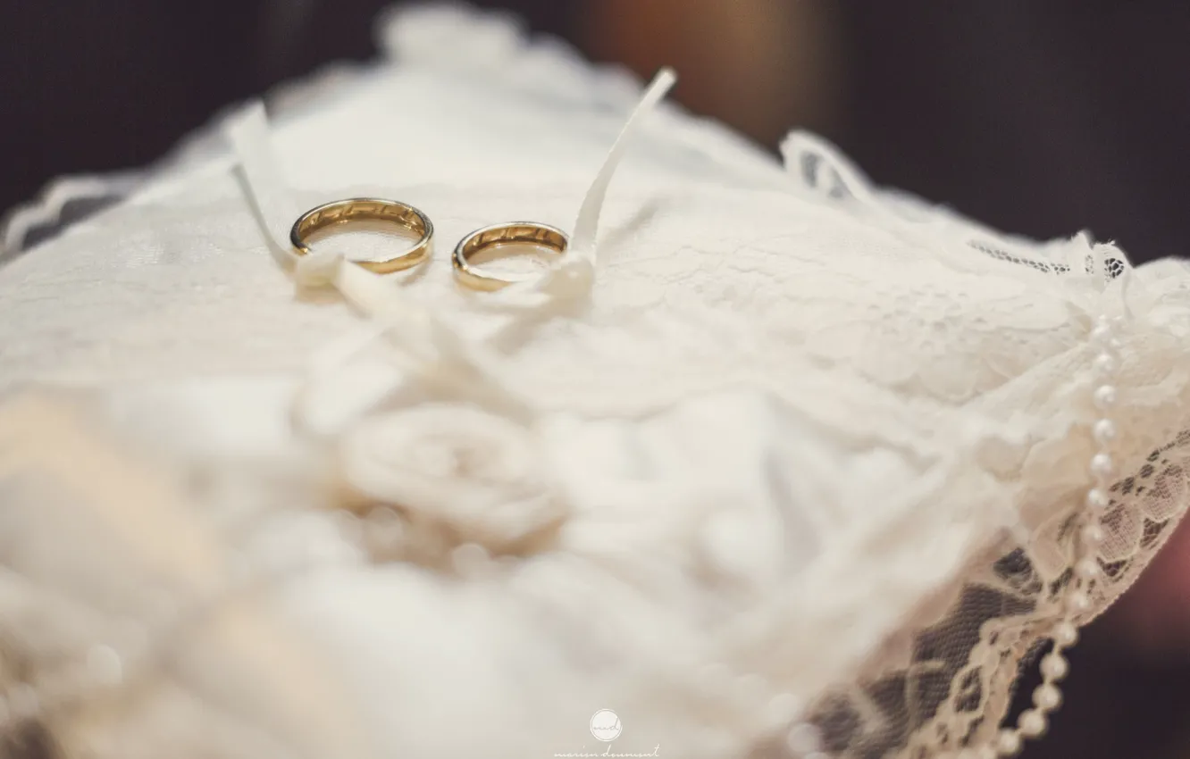 Фото обои кольца, два, свадьба, подушечка, помолвка