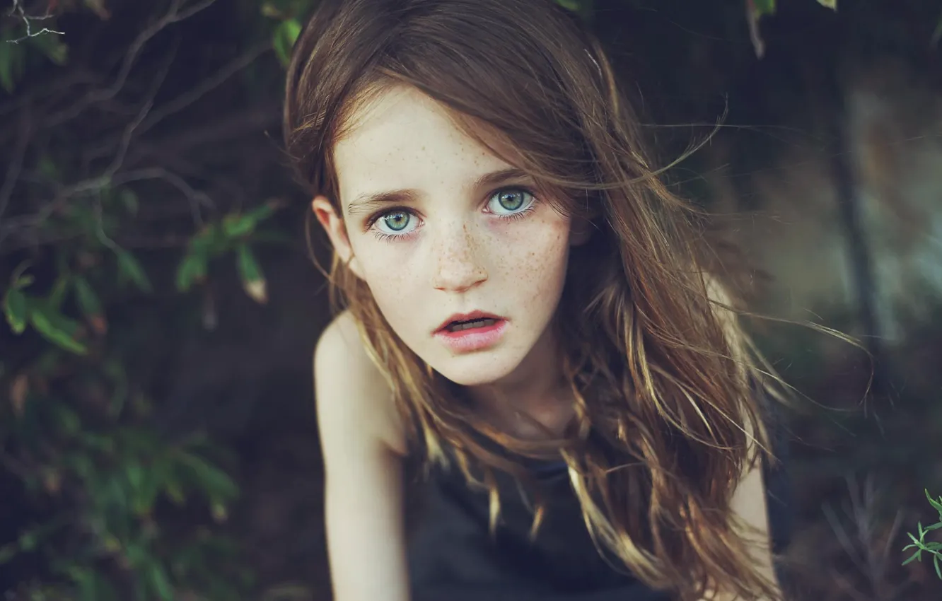 Фото обои взгляд, природа, волосы, девочка, веснушки