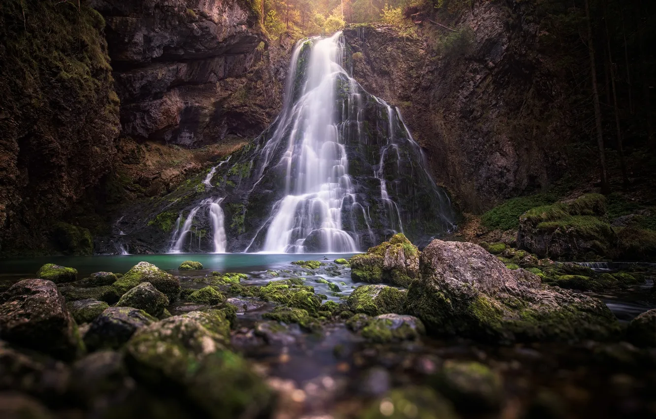 Фото обои осень, лес, деревья, природа, водопад