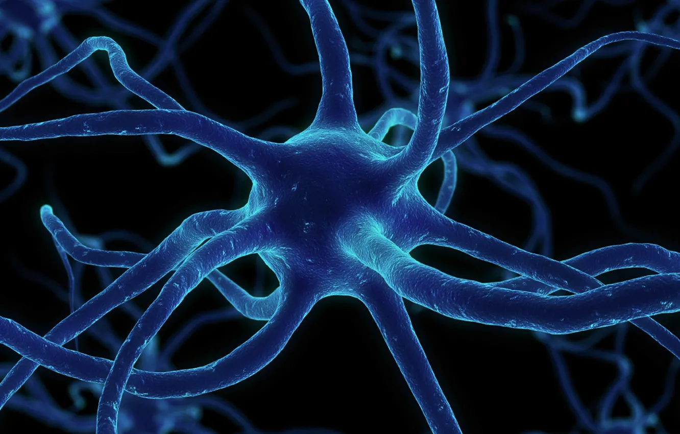 Фото обои сеть, синапсы, нейрон