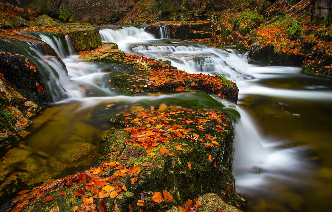 Фото обои осень, листья, река, каскад