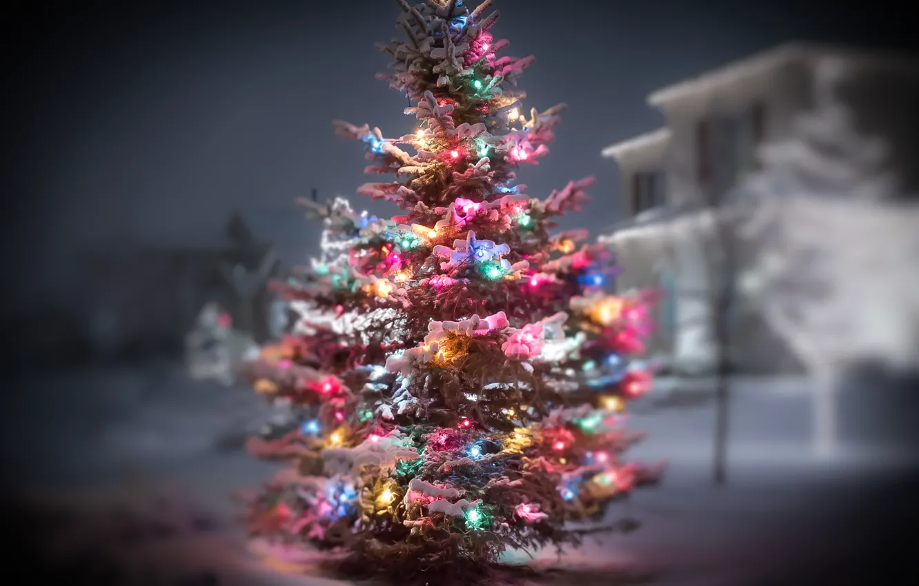 Фото обои зима, снег, огни, елка, Новый год, гирлянда