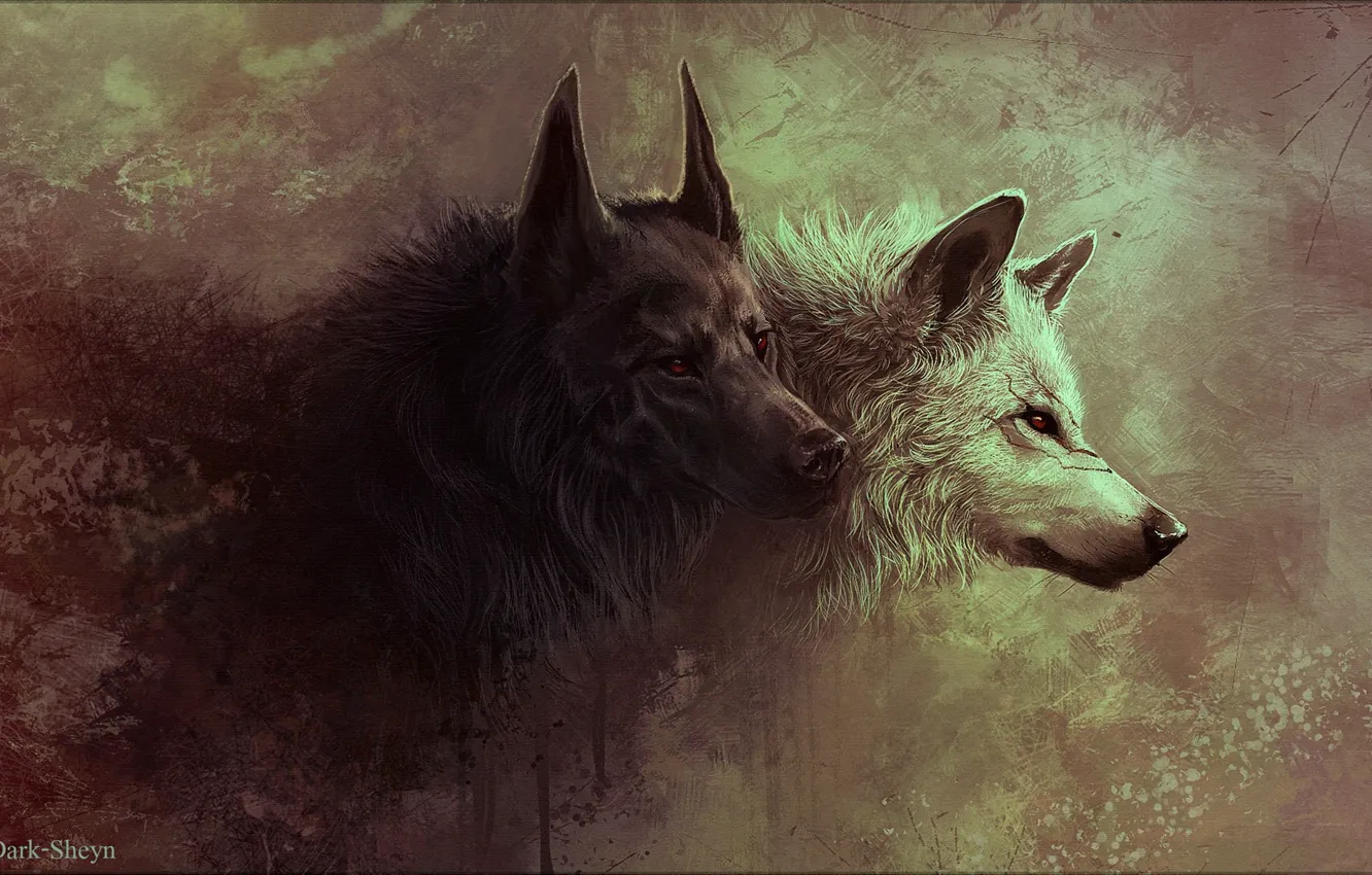 Фото обои хищники, пасть, клыки, волки, матерый, шерсь