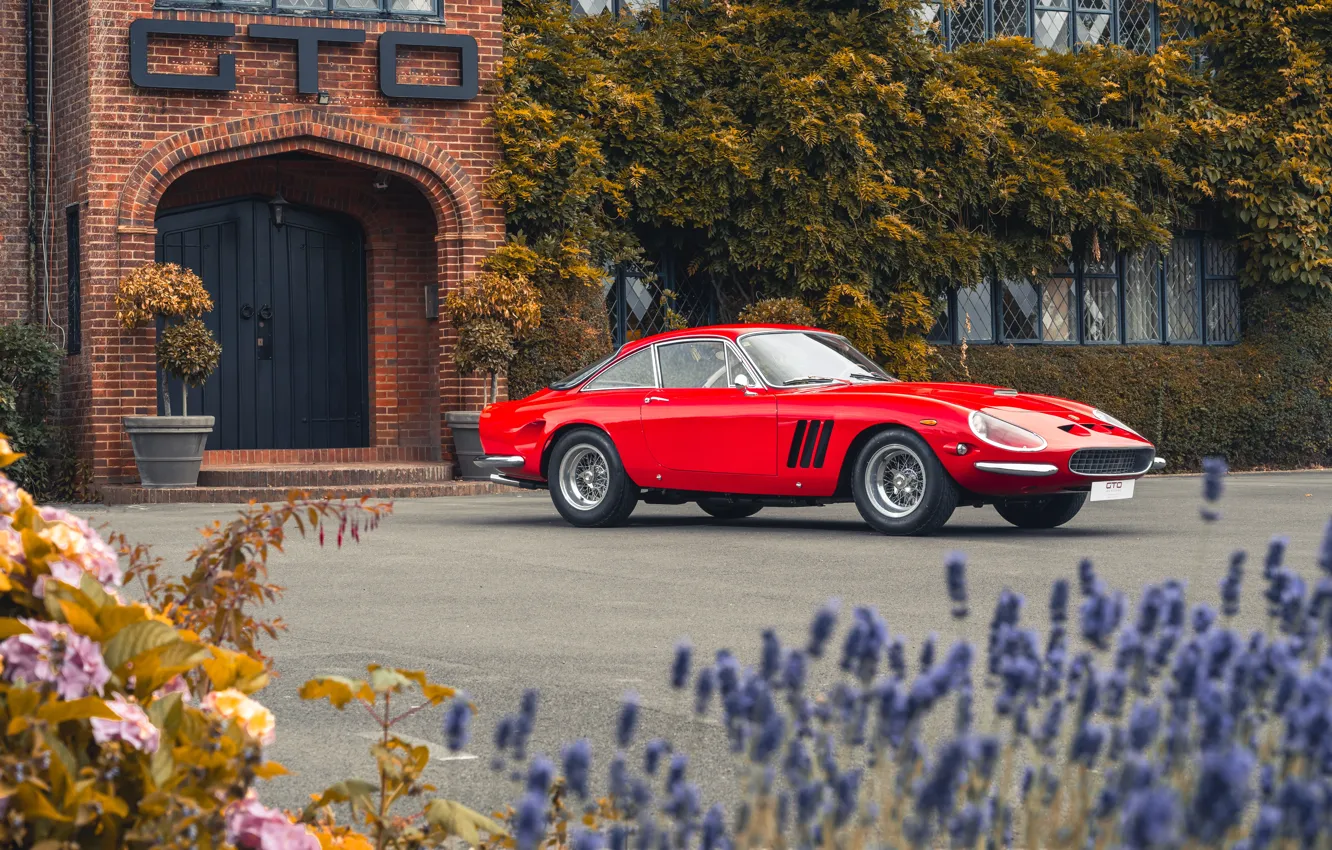 Фото обои Ferrari, vintage, 1963, 250, sports car, Ferrari 250 GT Fantuzzi Berlinetta Lusso