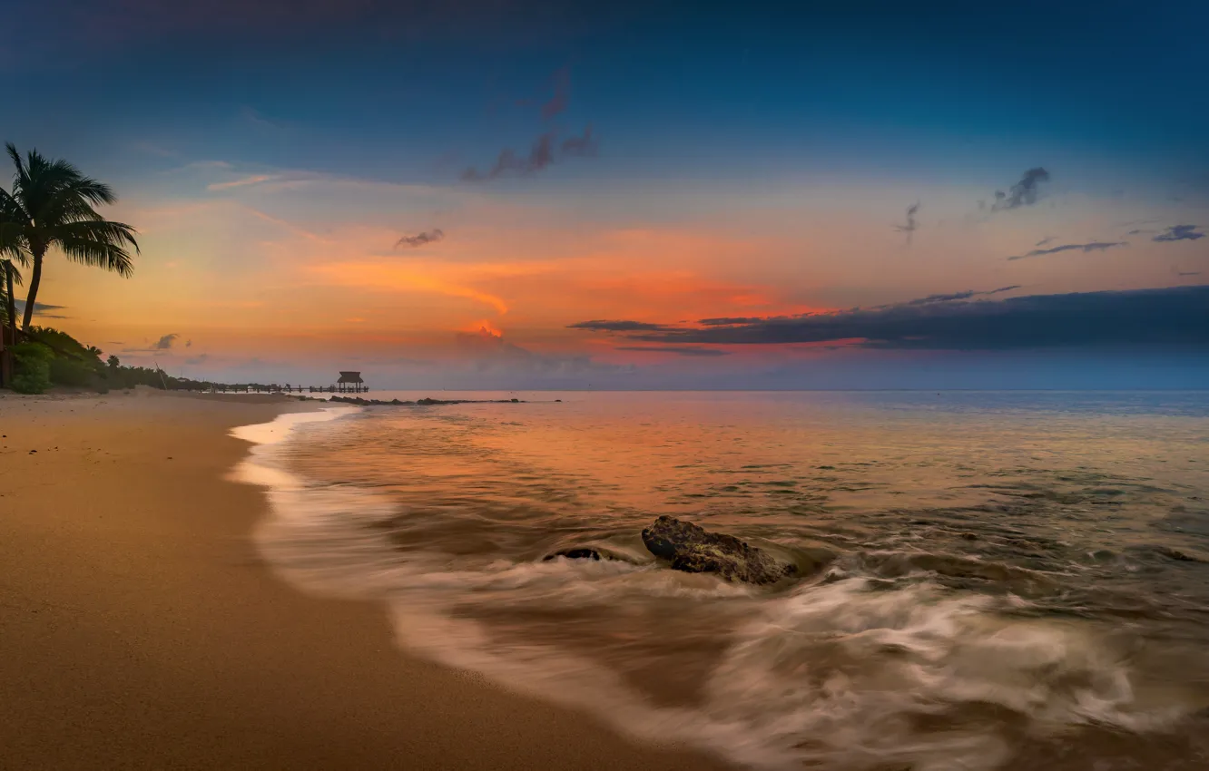 Фото обои море, пляж, закат, пальмы, побережье