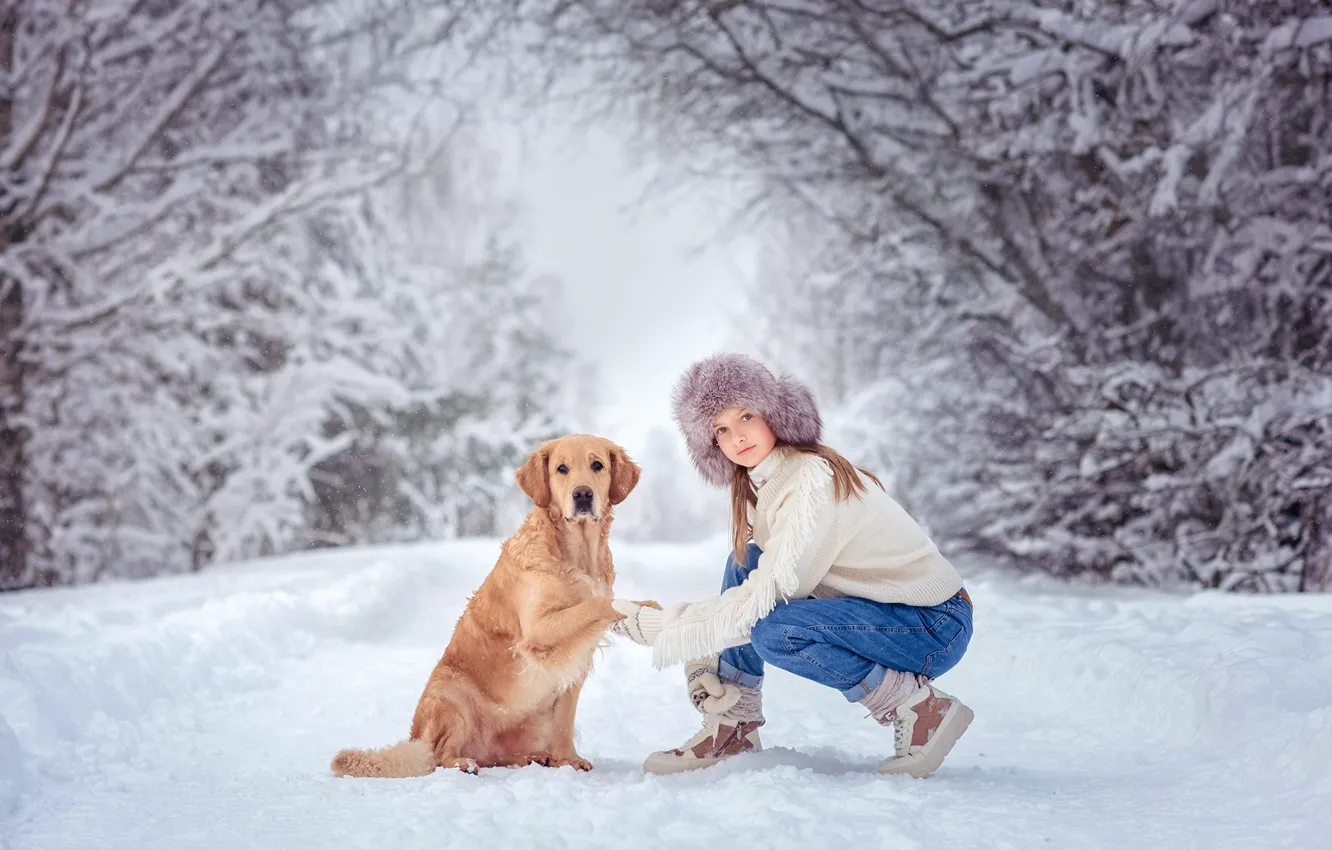 Фото обои зима, девушка, снег, деревья, природа, животное, собака, пёс