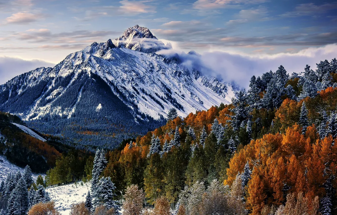 Фото обои лес, небо, облака, снег, деревья, гора, вершина