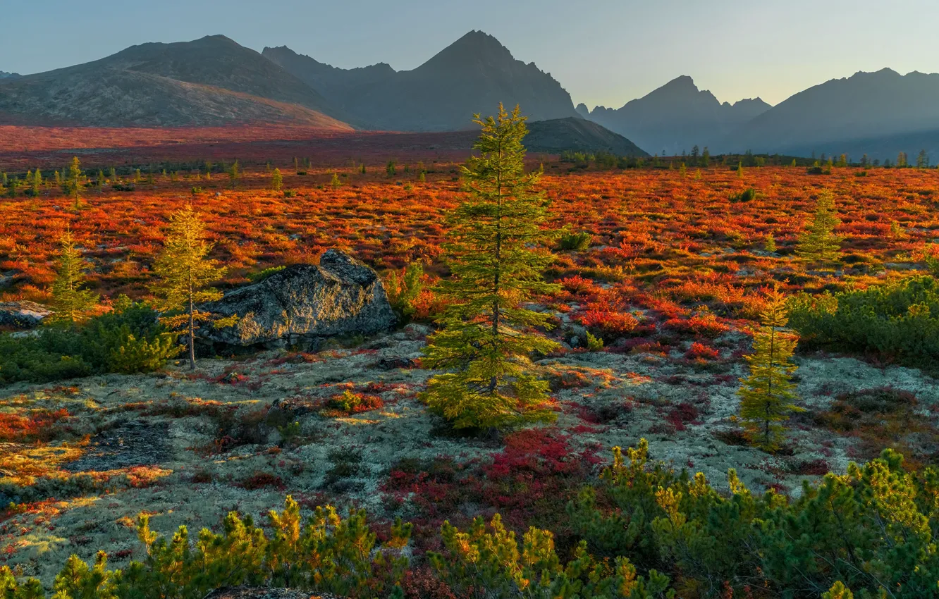 Фото обои осень, пейзаж, горы, природа, растительность, Владимир Рябков, Колыма