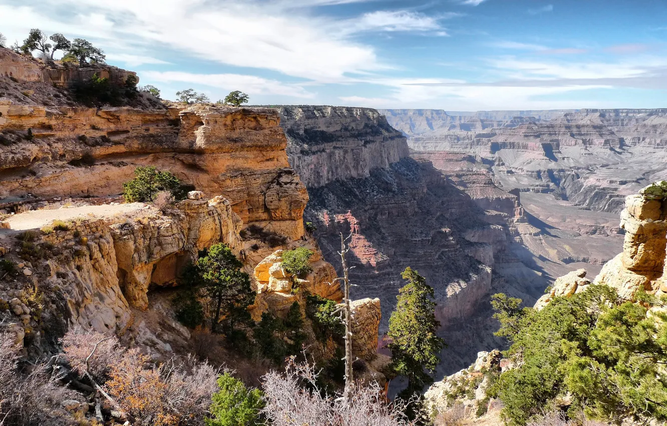 Фото обои небо, облака, деревья, горы, скалы, каньон, сша, Arizona