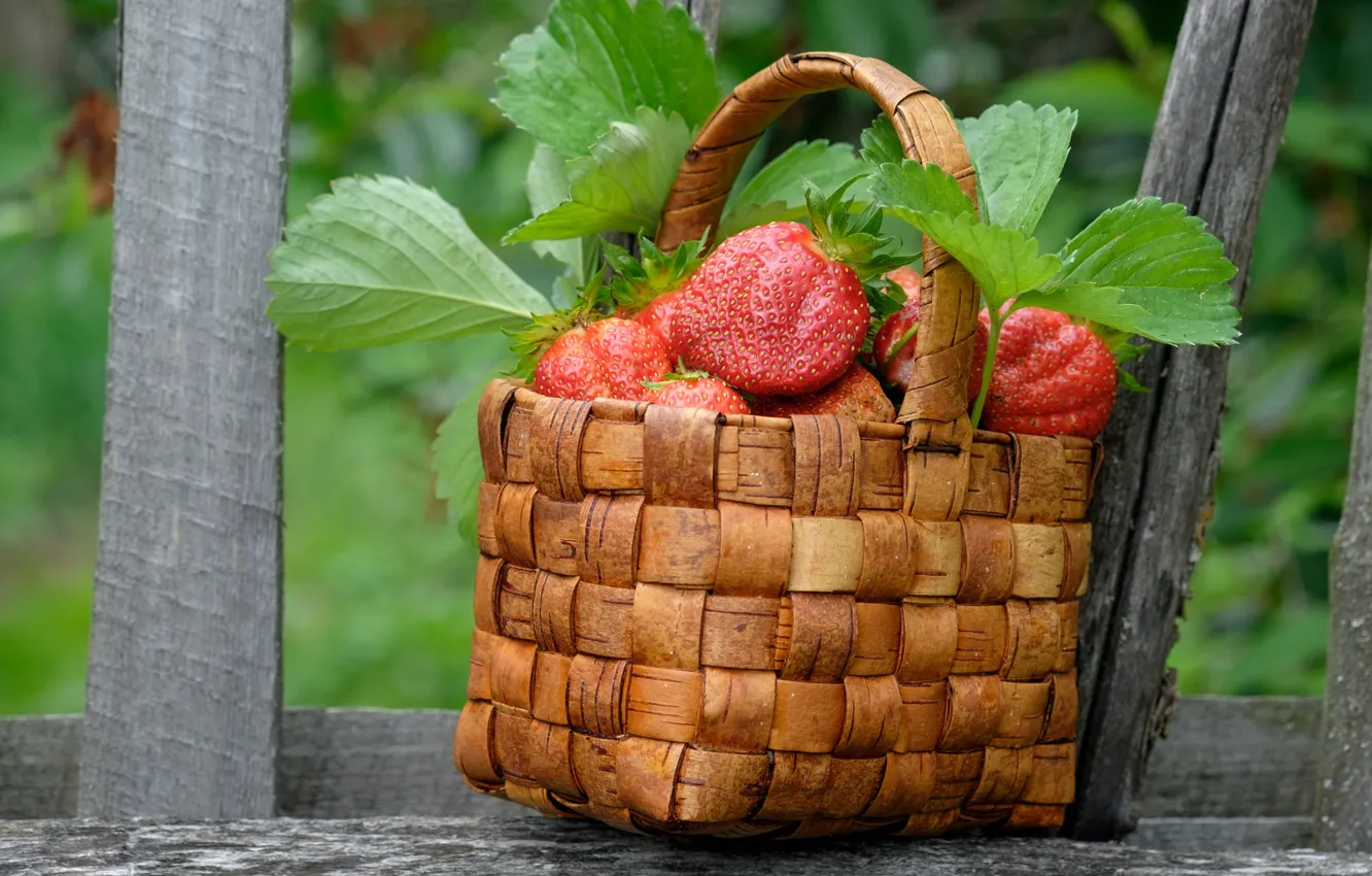 Фото обои ягоды, клубника, корзинка