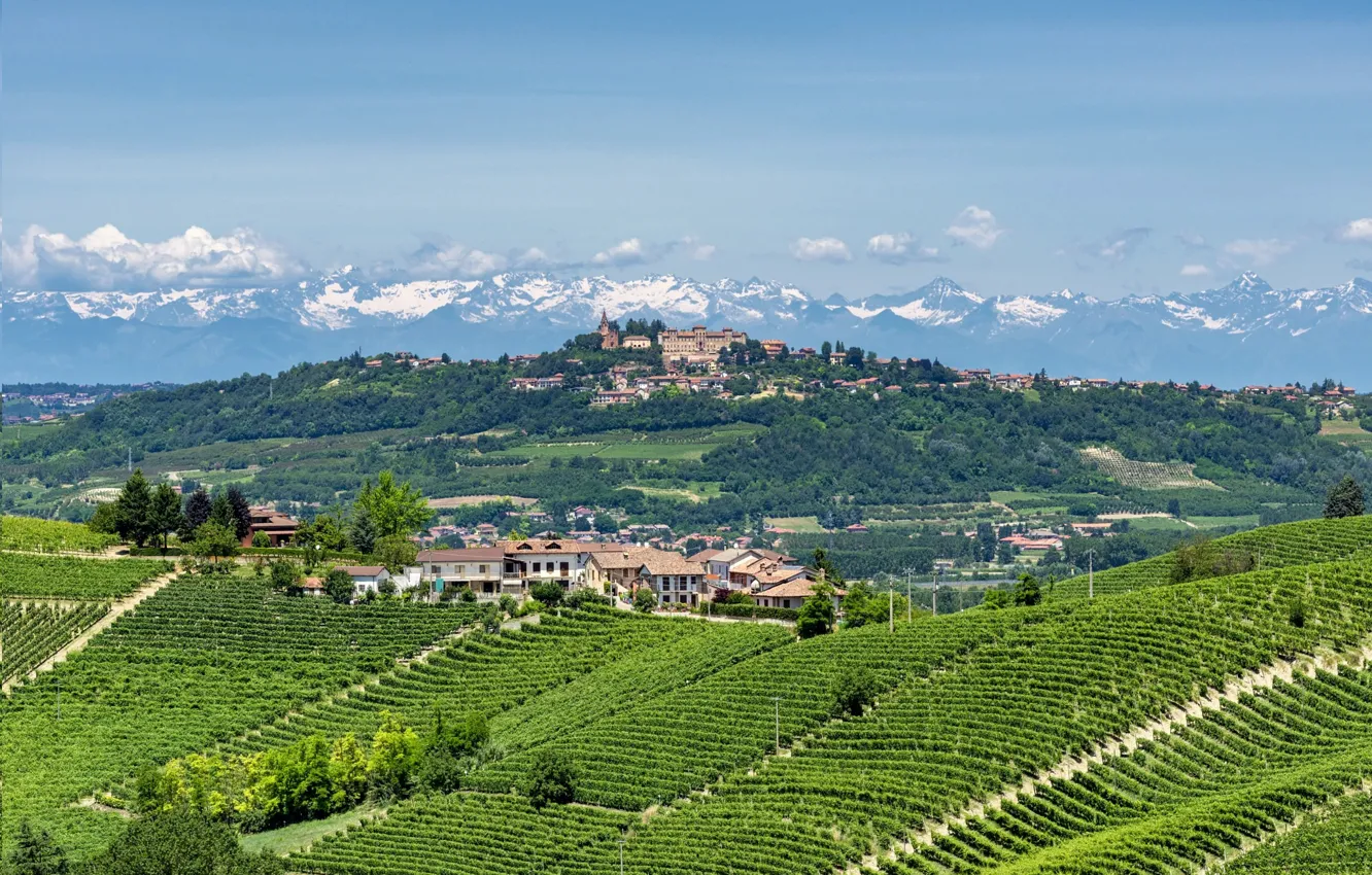 Фото обои Италия, виноградники, Пьемонт