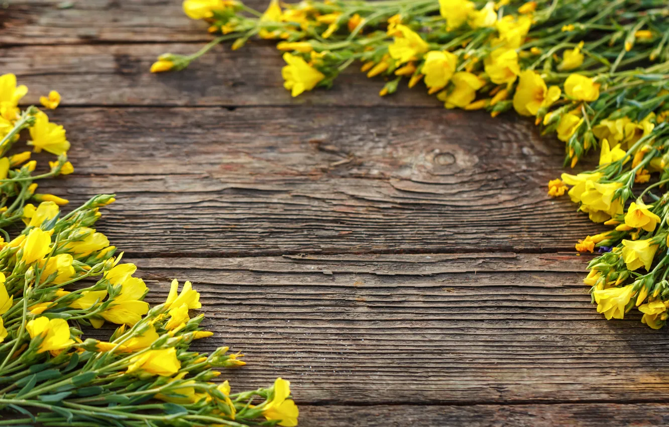 Фото обои цветы, доски, желтые, yellow, wood, blossom, flowers, spring