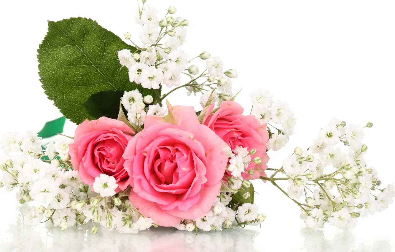 Фото обои цветы, розы, букет, розовые розы