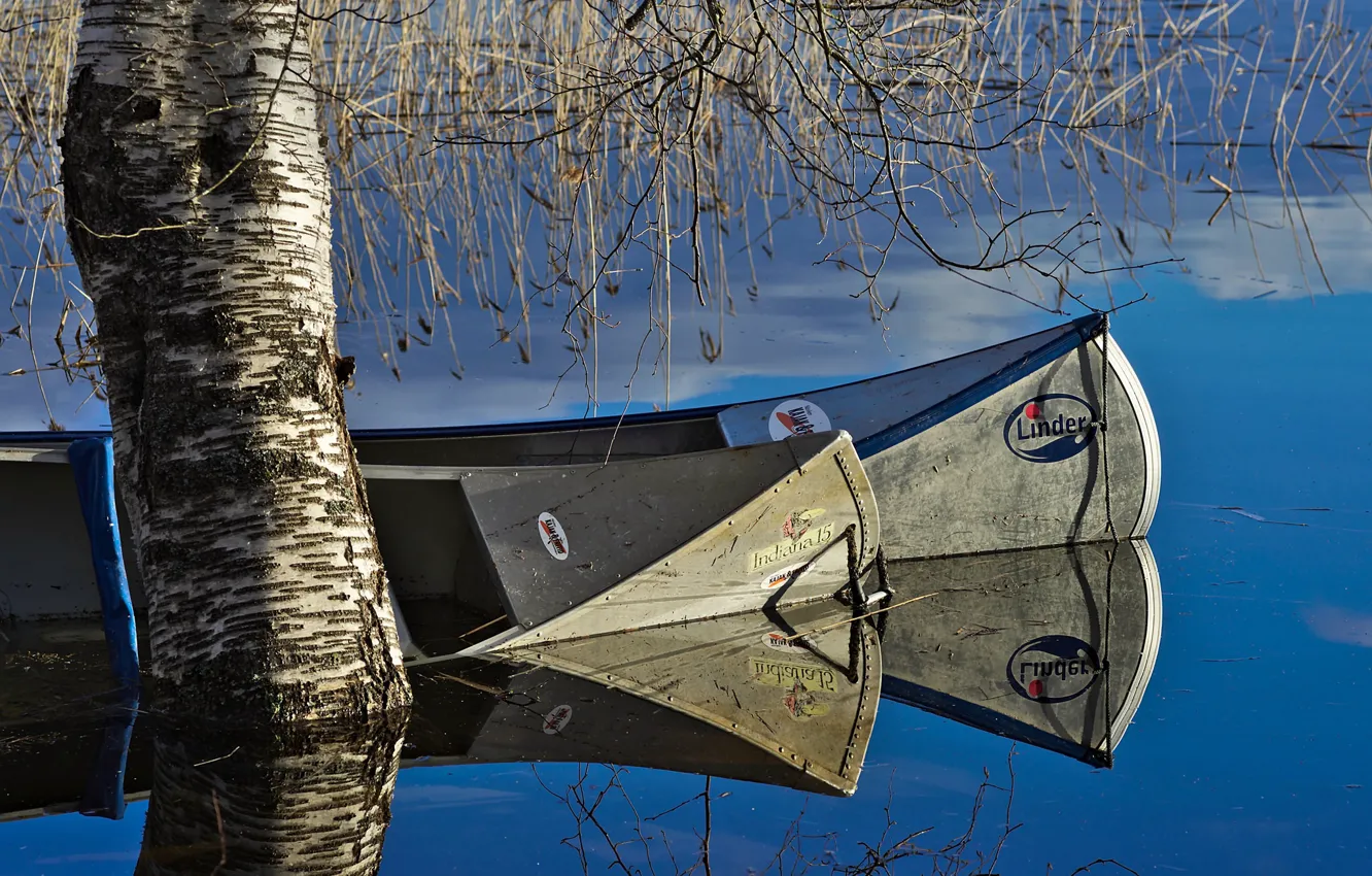 Фото обои озеро, дерево, весна, лодки