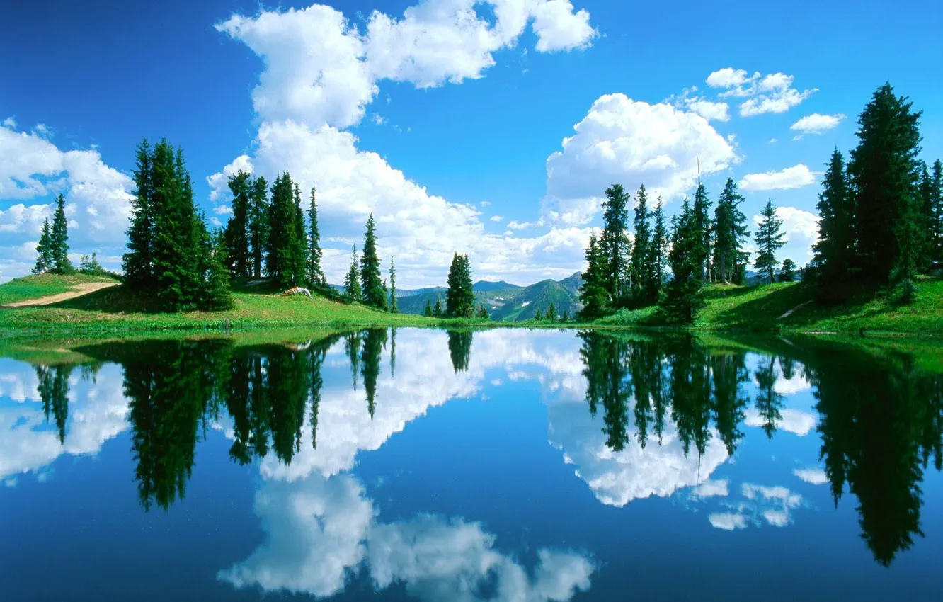 Фото обои лес, небо, вода, облака