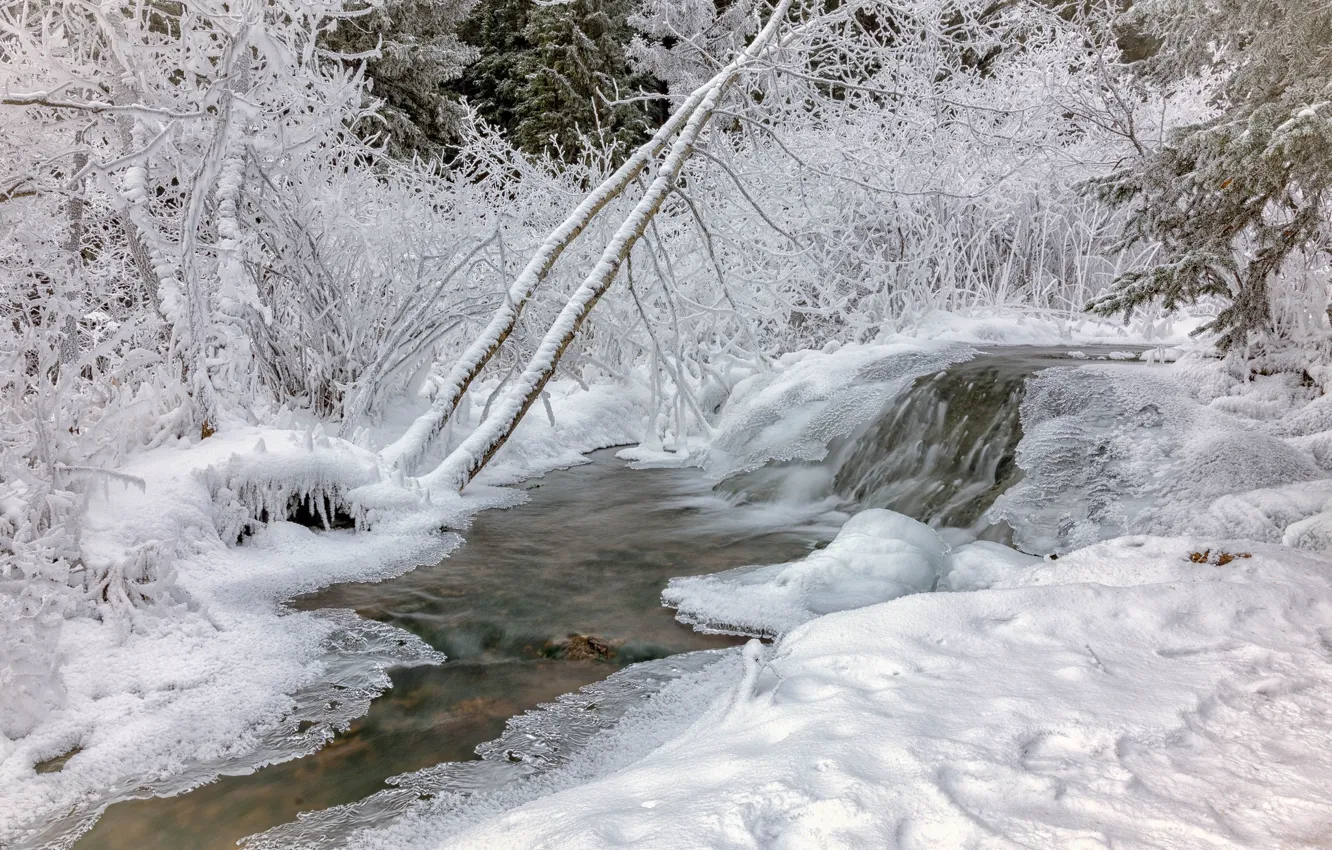 Фото обои холод, зима, лес, снег, природа, река, лёд