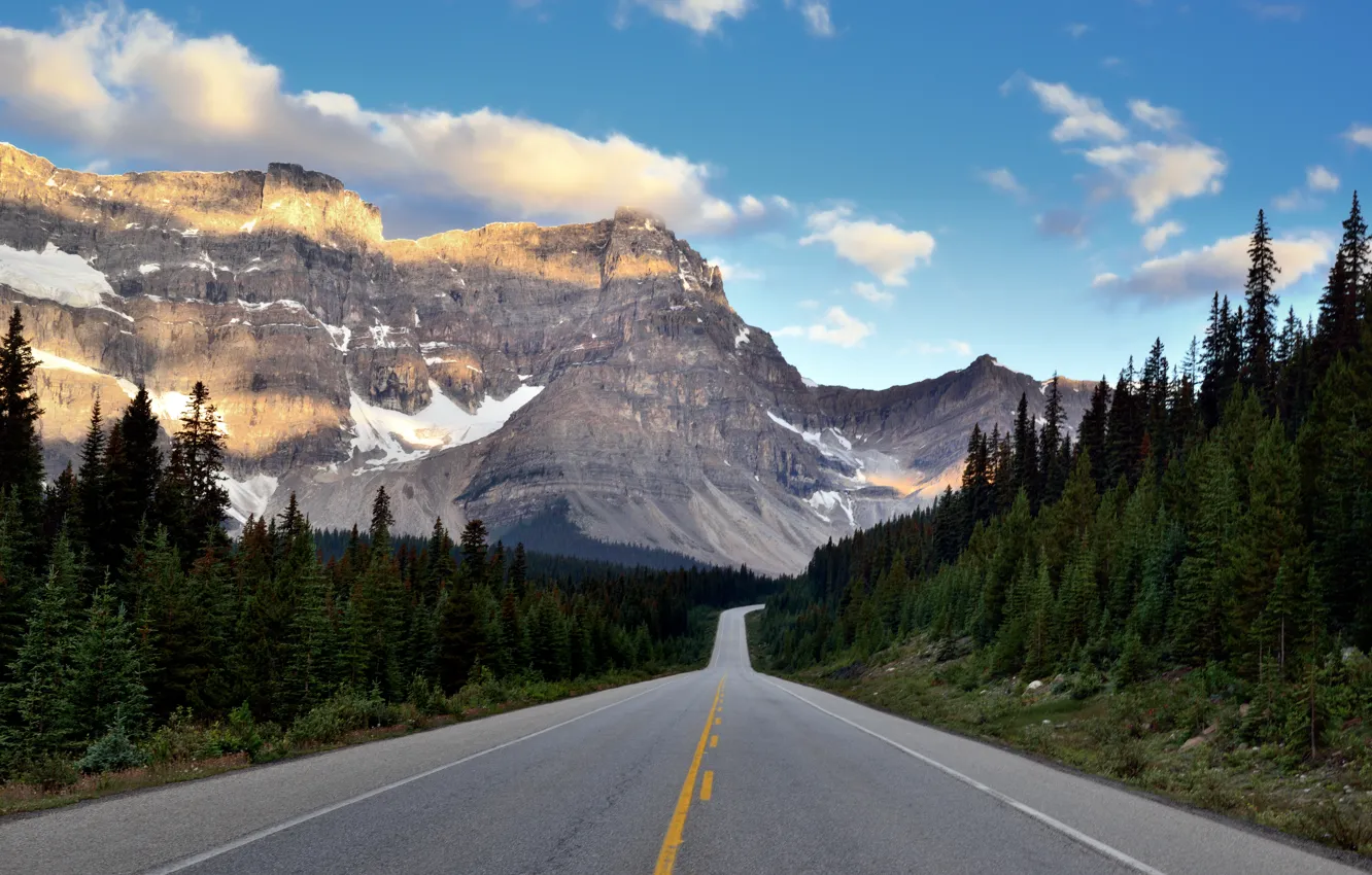 Фото обои дорога, лес, пейзаж, горы, природа