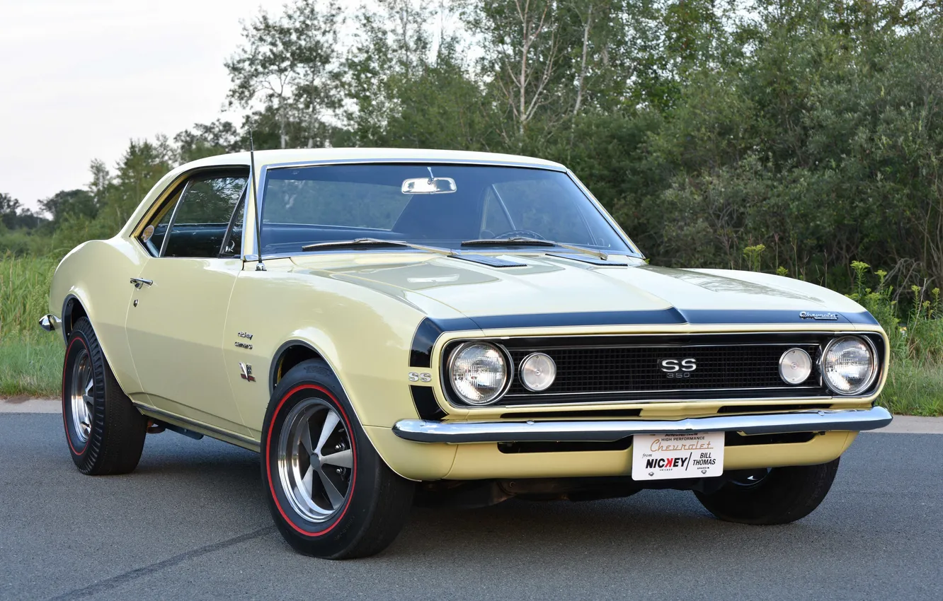 Фото обои ретро, купе, Chevrolet, Camaro, спорт кар, coupe, 1967, 427
