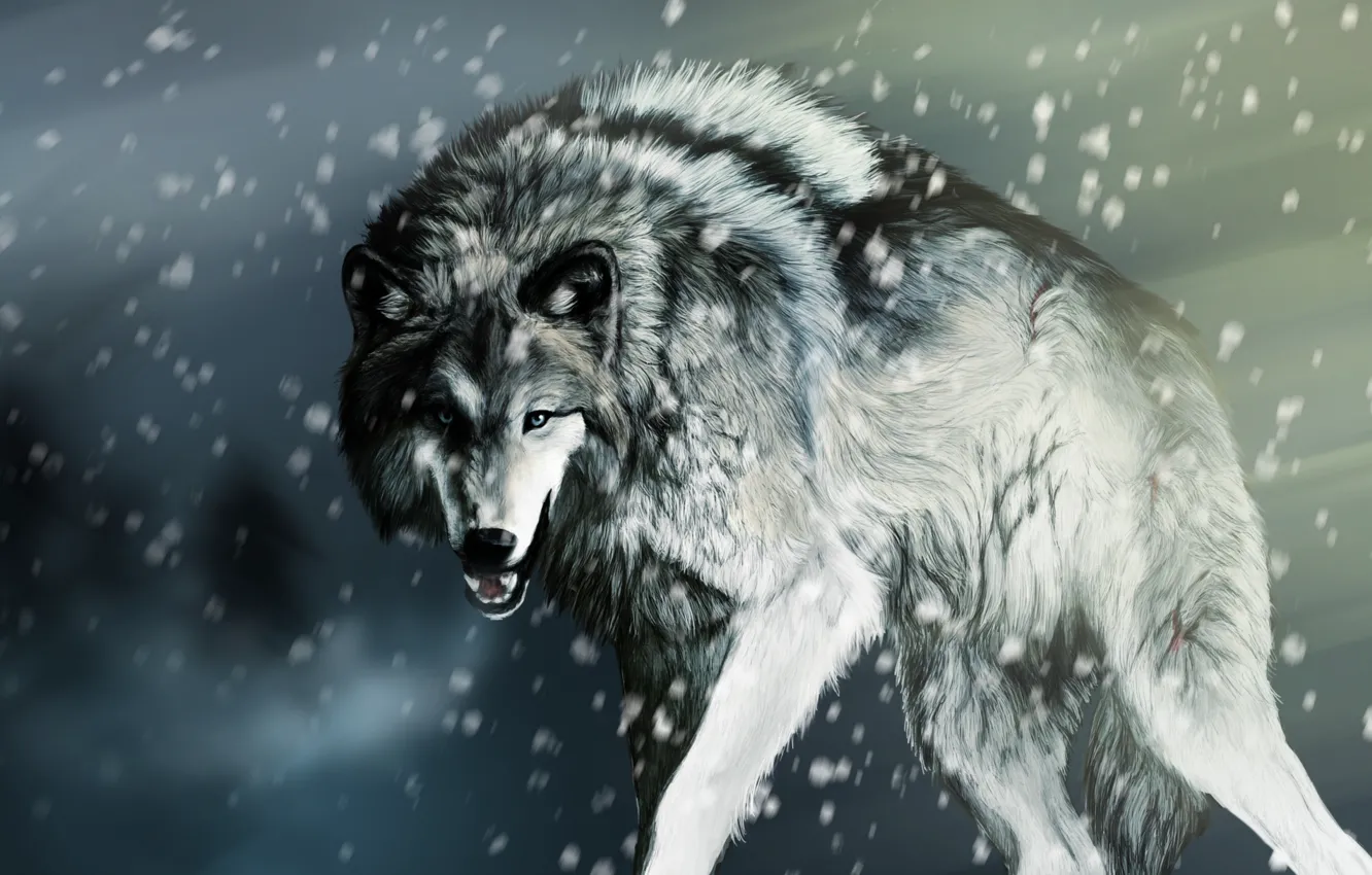 Фото обои снег, рендеринг, волк