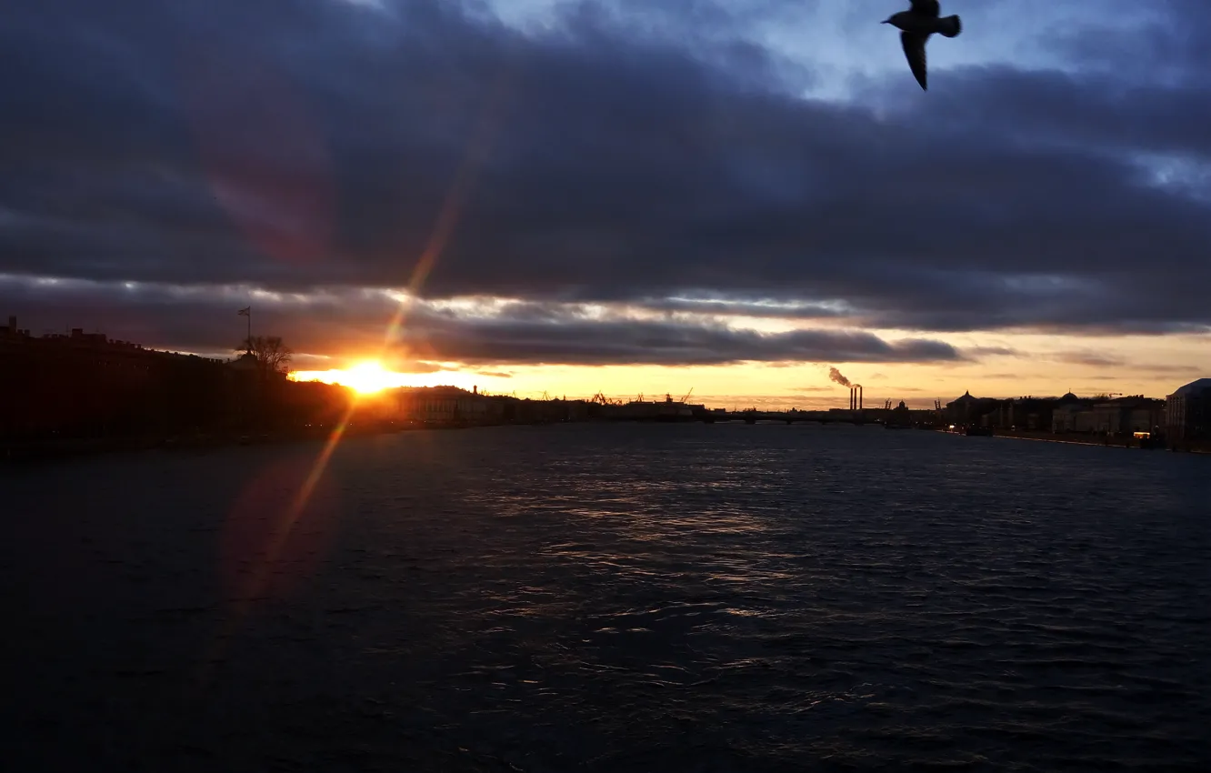 Фото обои вода, закат, река, Санкт-Петербург