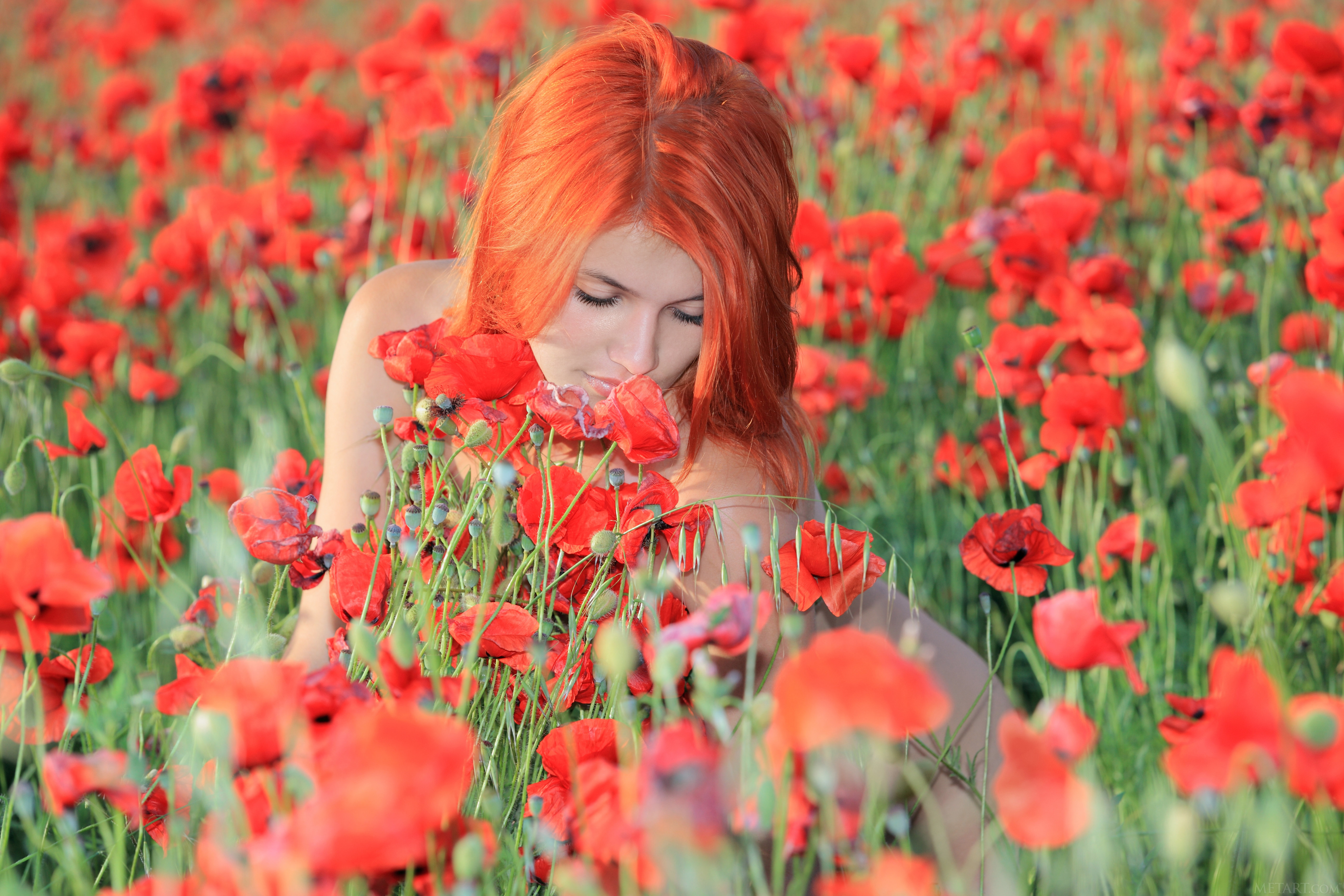 Песня я на рыженькой женюсь. Рыжая девушка в цветах. Рыжая девушка с цветами. Фотосессия в маковом поле. Девушка в маковом поле.