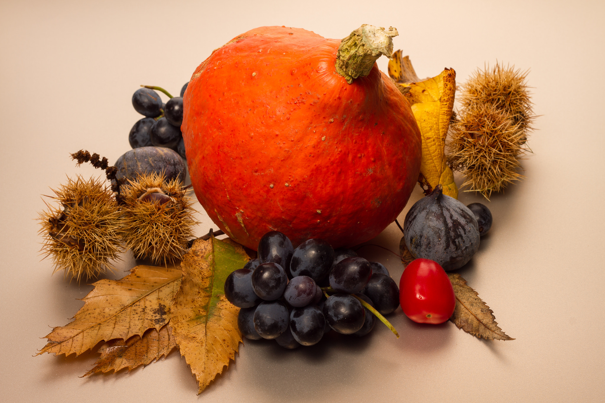 Фруктовый лист. Натюрморт осенний. Осенние плоды. Натюрморт плоды осени. Осенние овощи и фрукты.