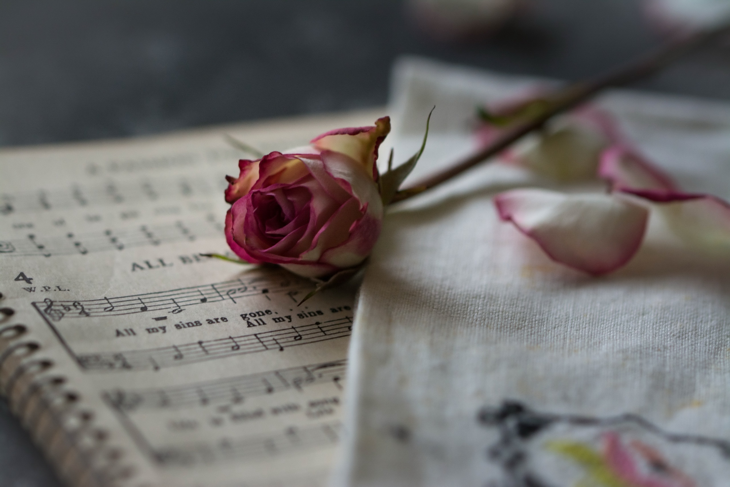 Любовь живет песня цветы